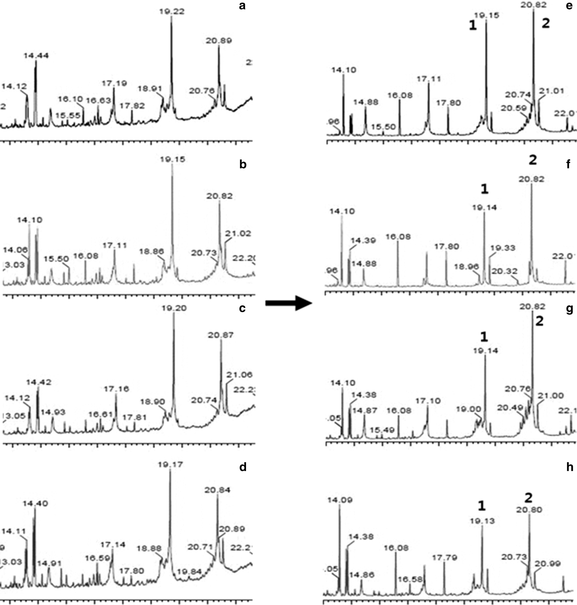 Fig. 6