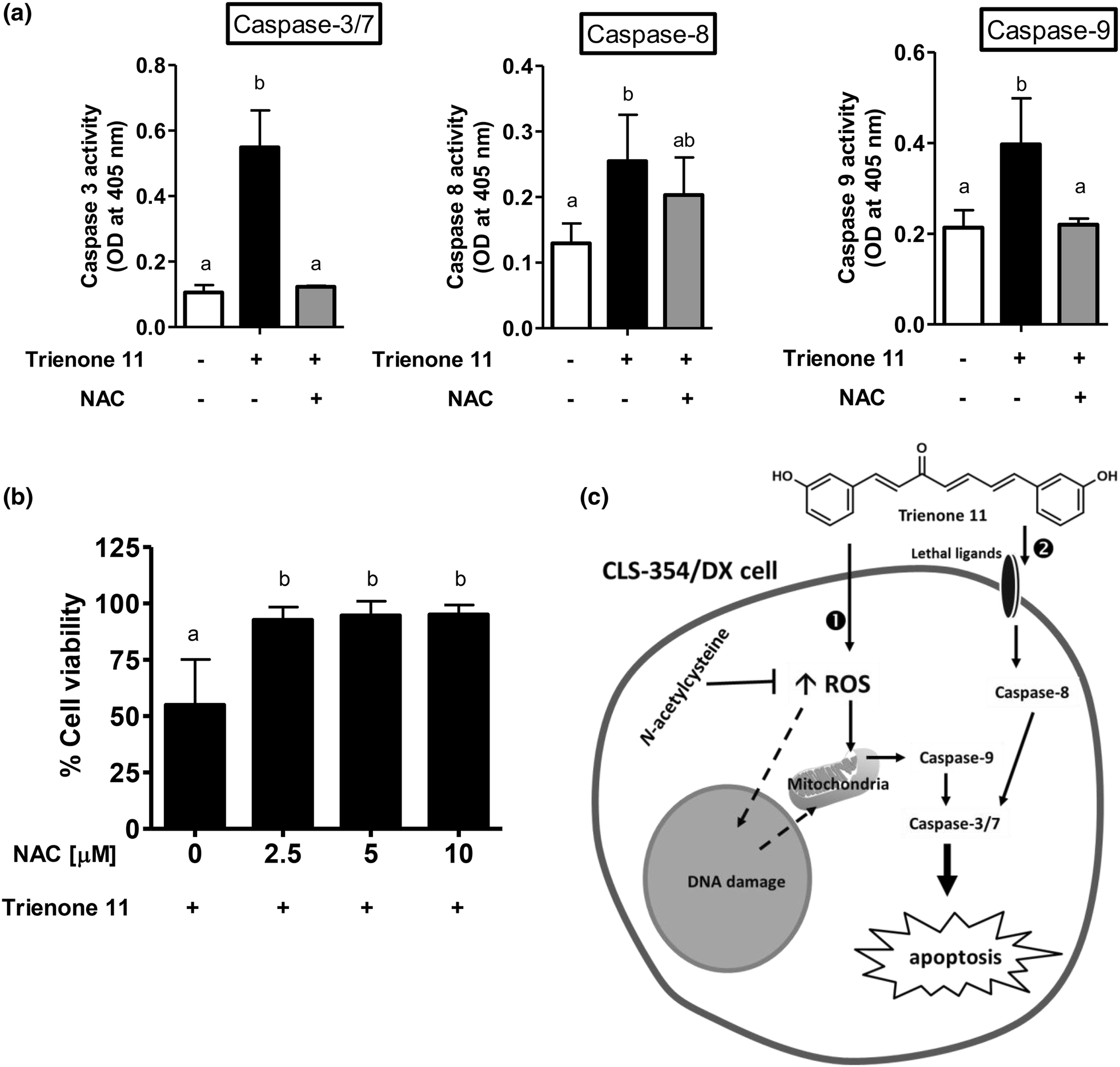 Fig. 6