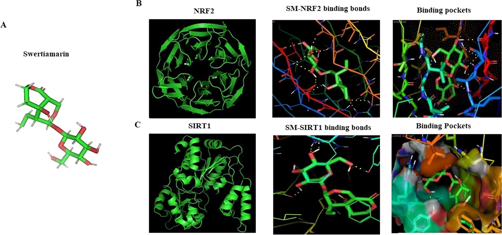 Fig. 4