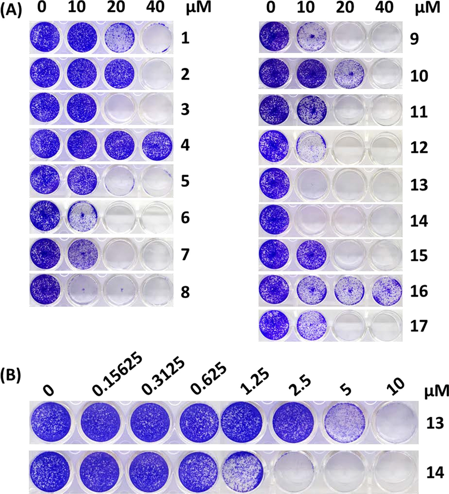 Fig. 2