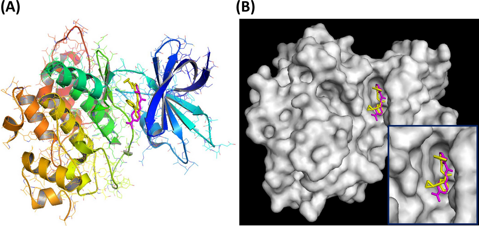 Fig. 7