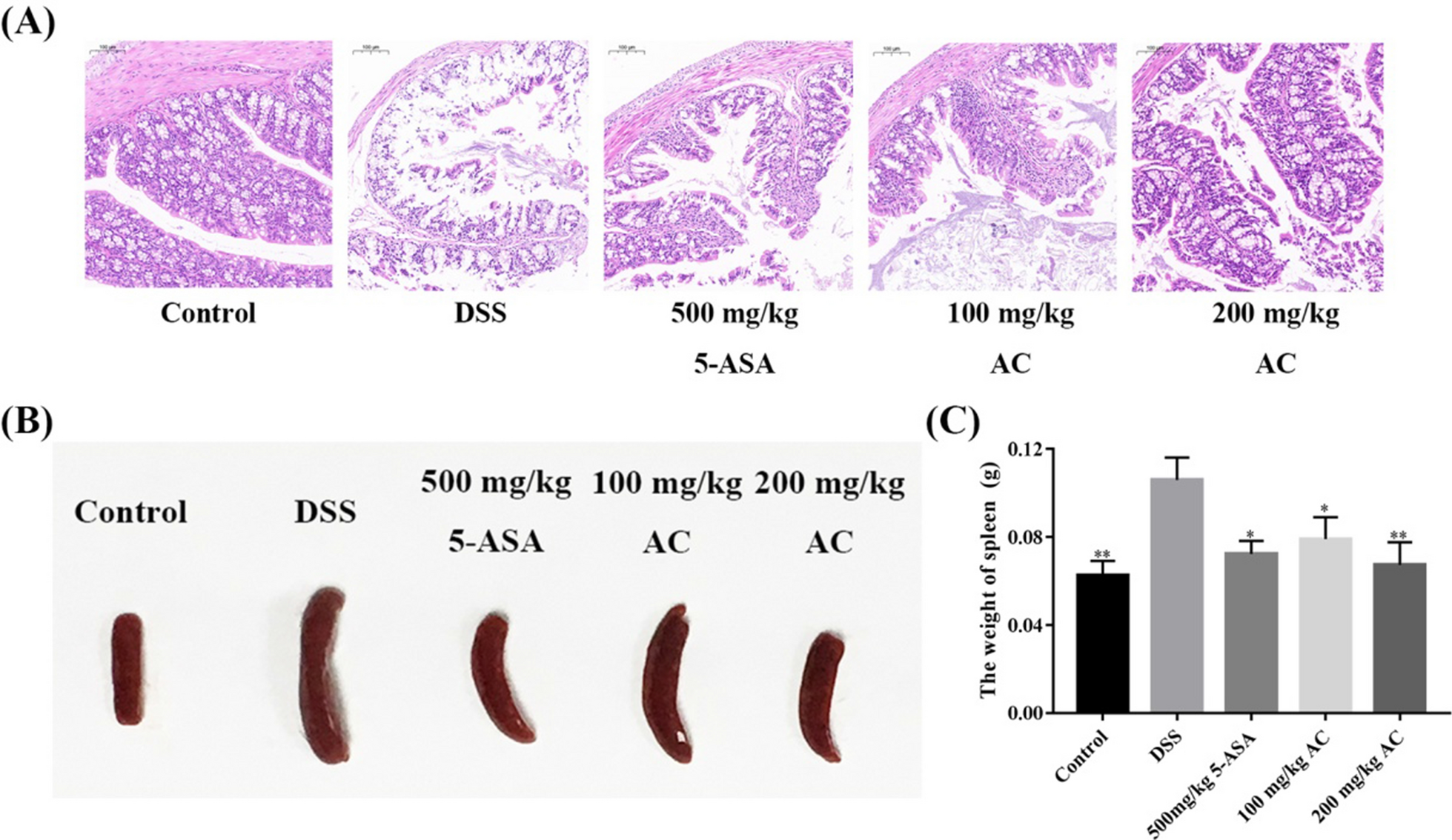 Fig. 9