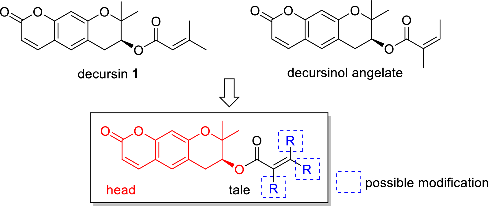 Scheme 1