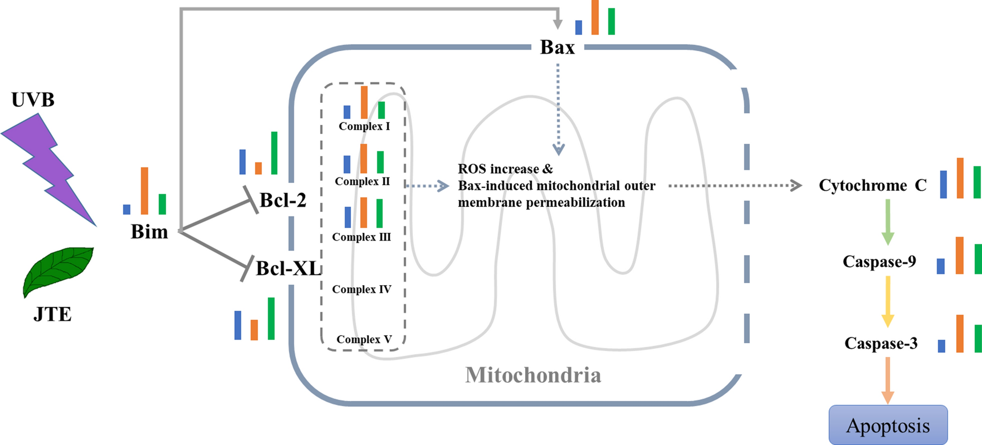 Fig. 8