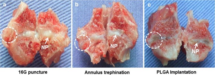 Fig. 4