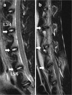 Fig. 5