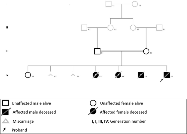 Fig. 1