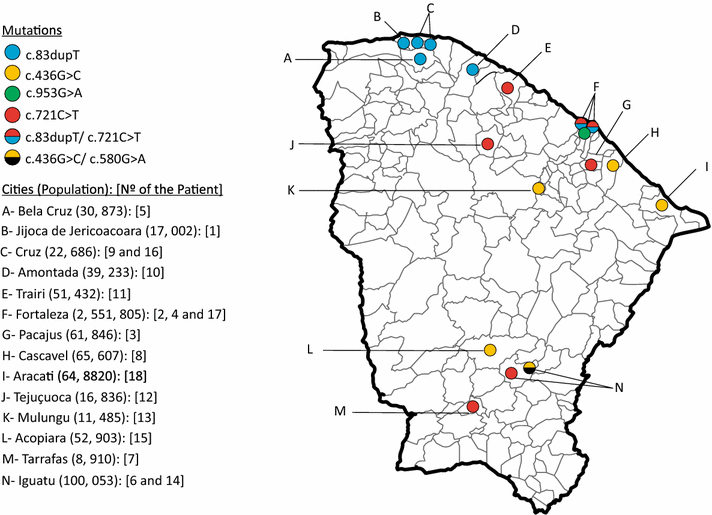 Fig. 3