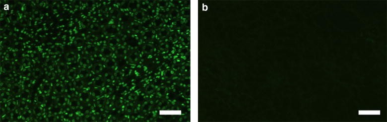 Fig. 5