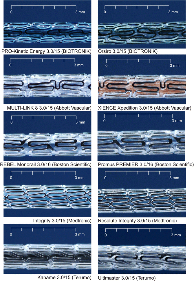 Fig. 1