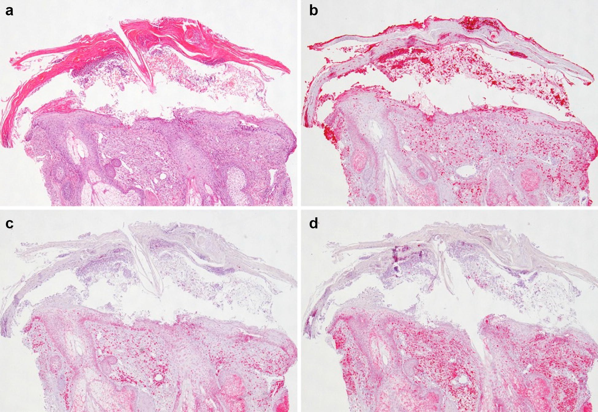 Fig. 2