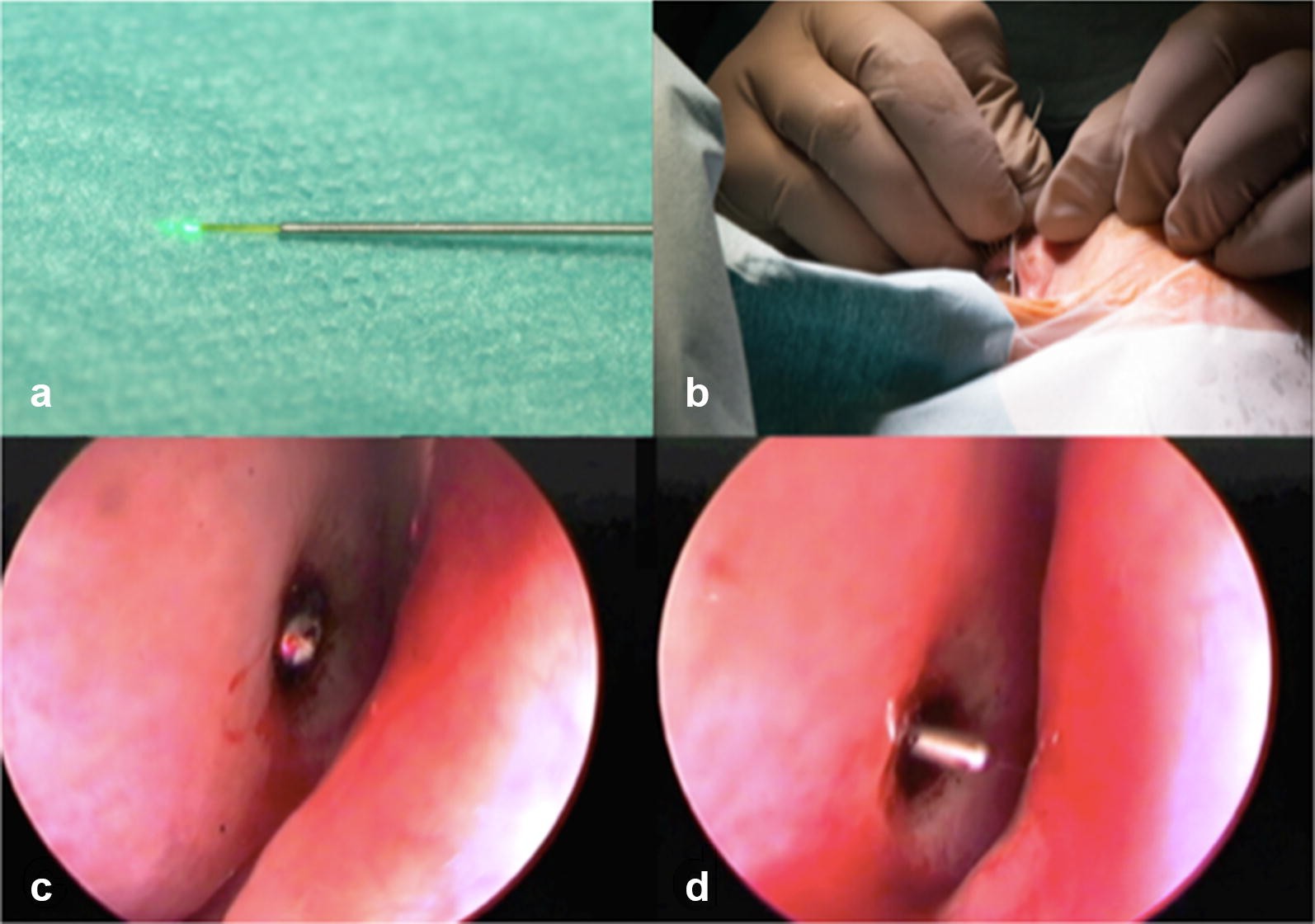 Fig. 2