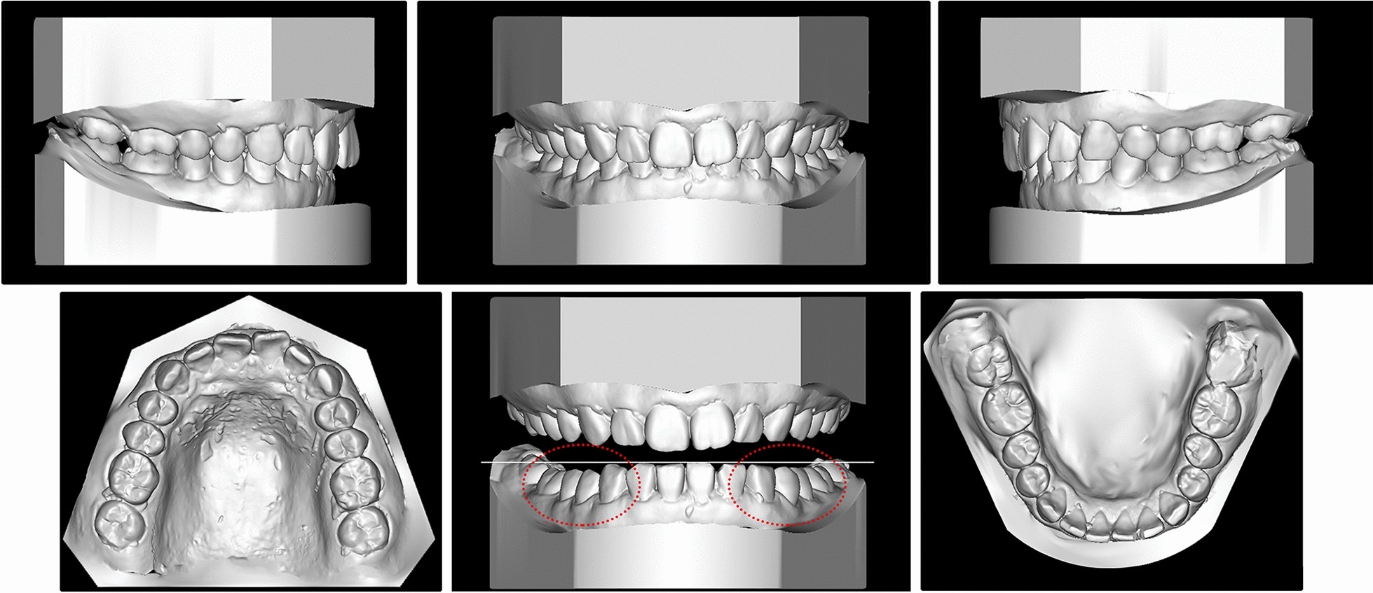 Fig. 2