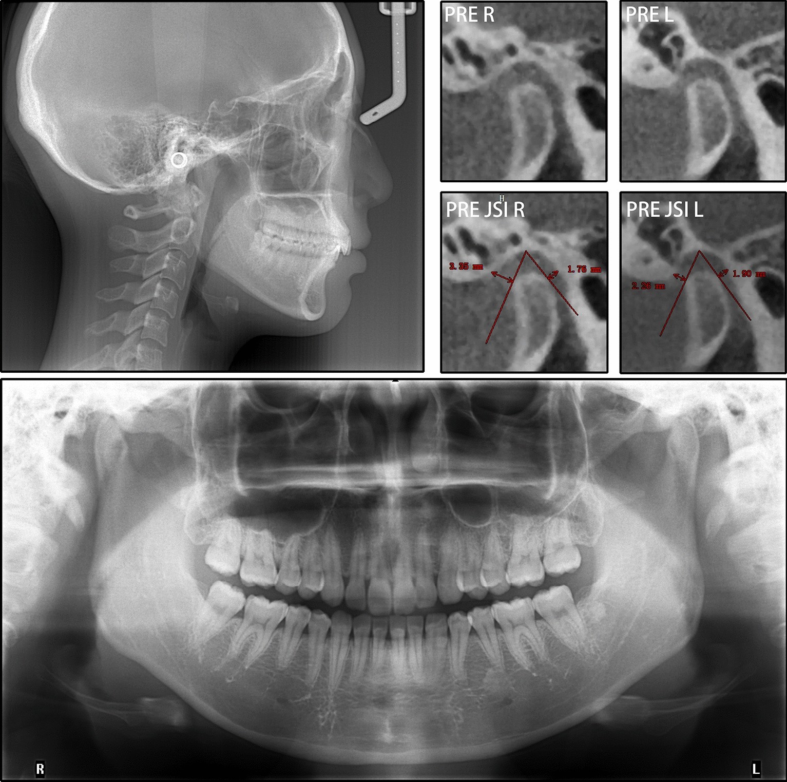 Fig. 3