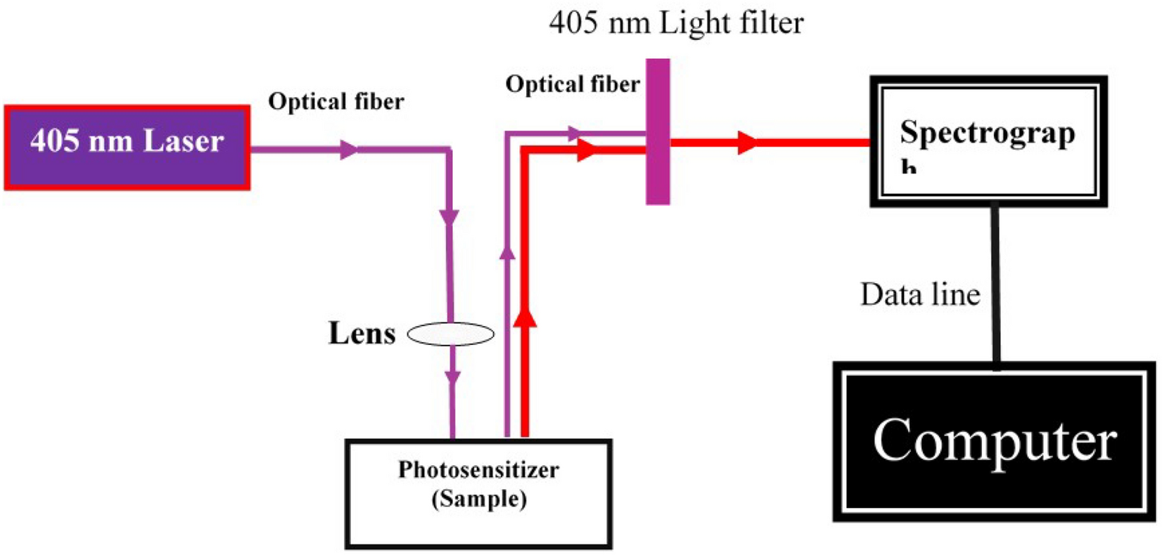 Fig. 3