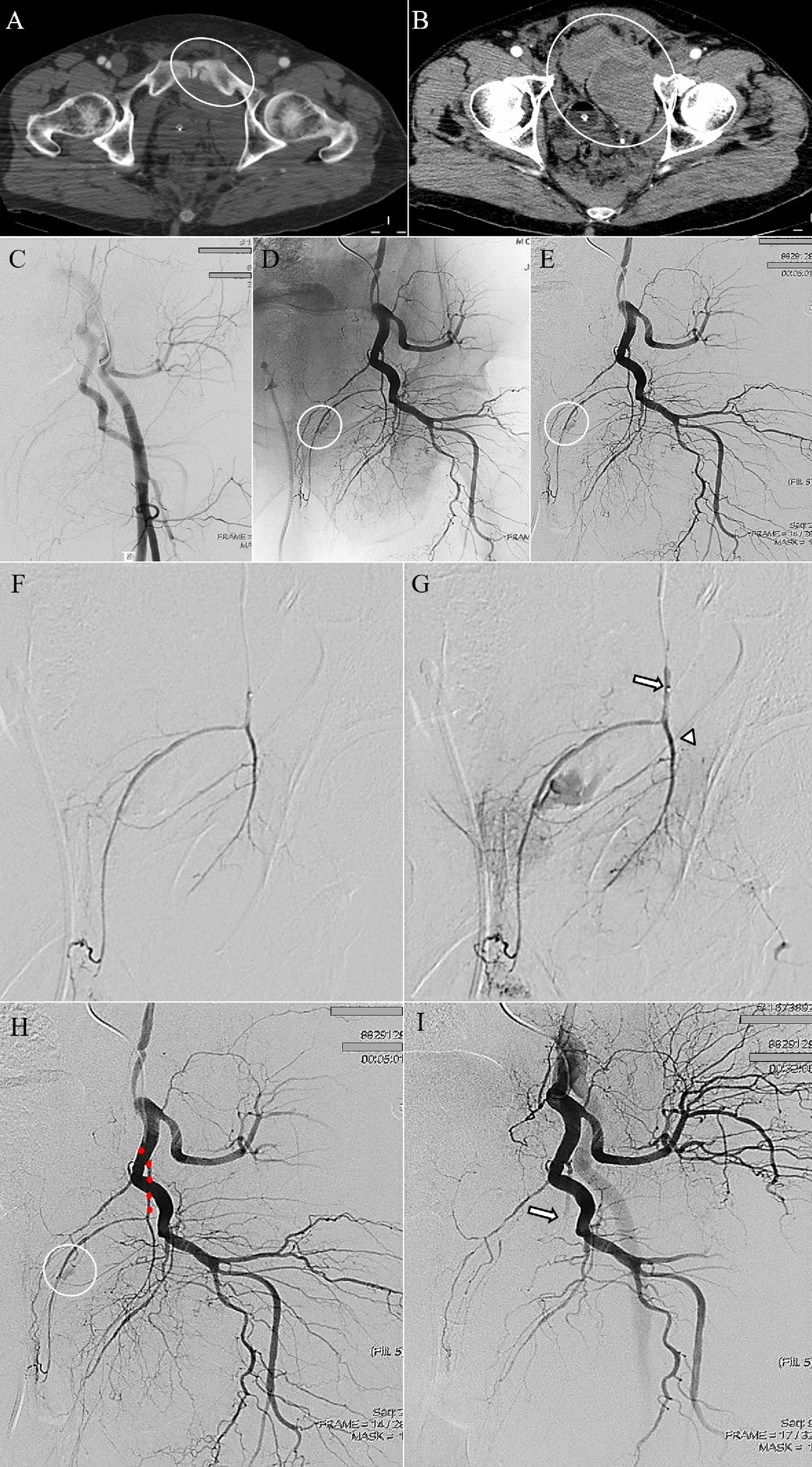 Fig. 5