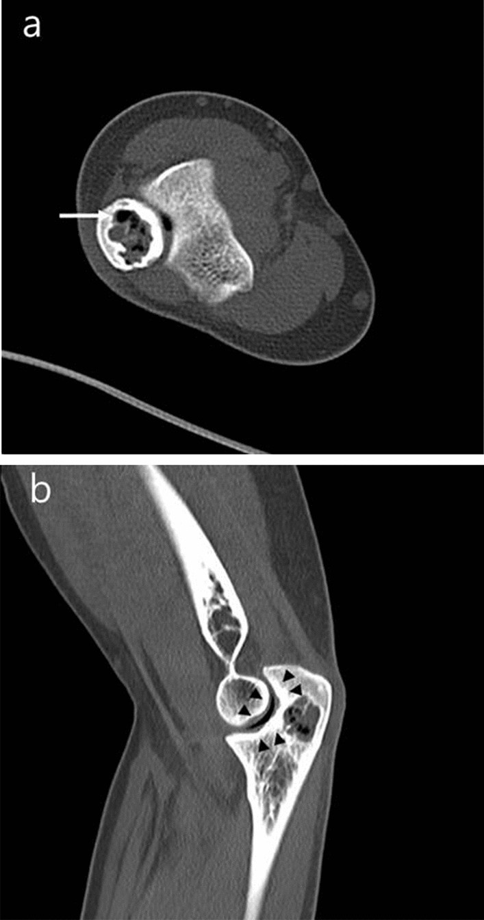 Fig. 5