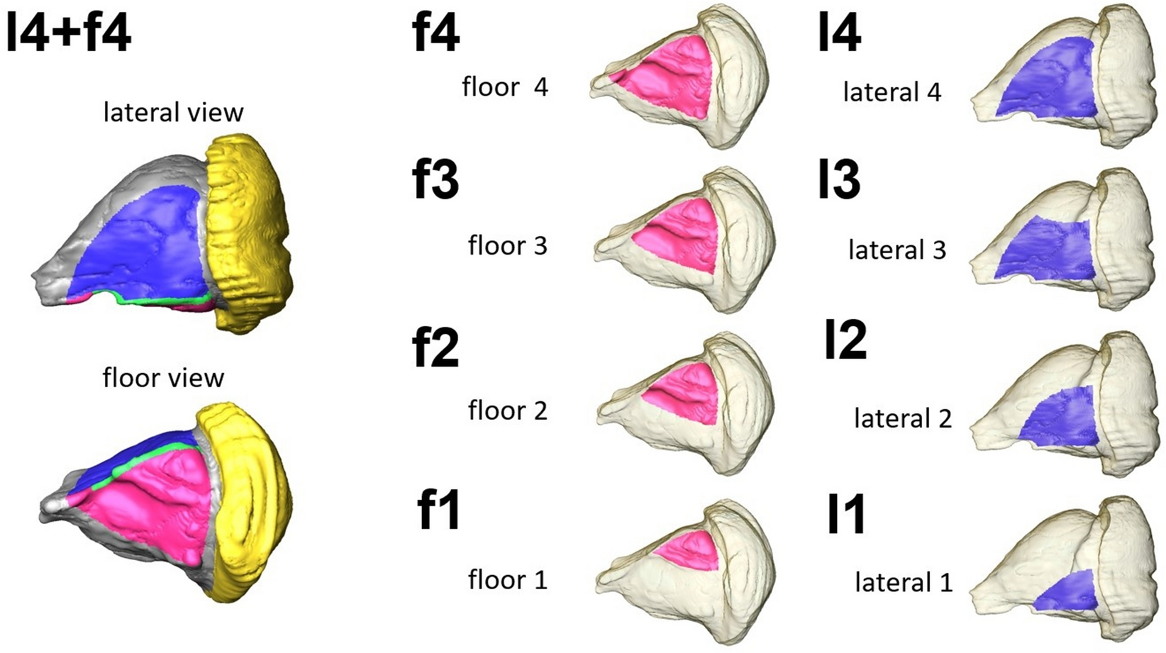 Fig. 4