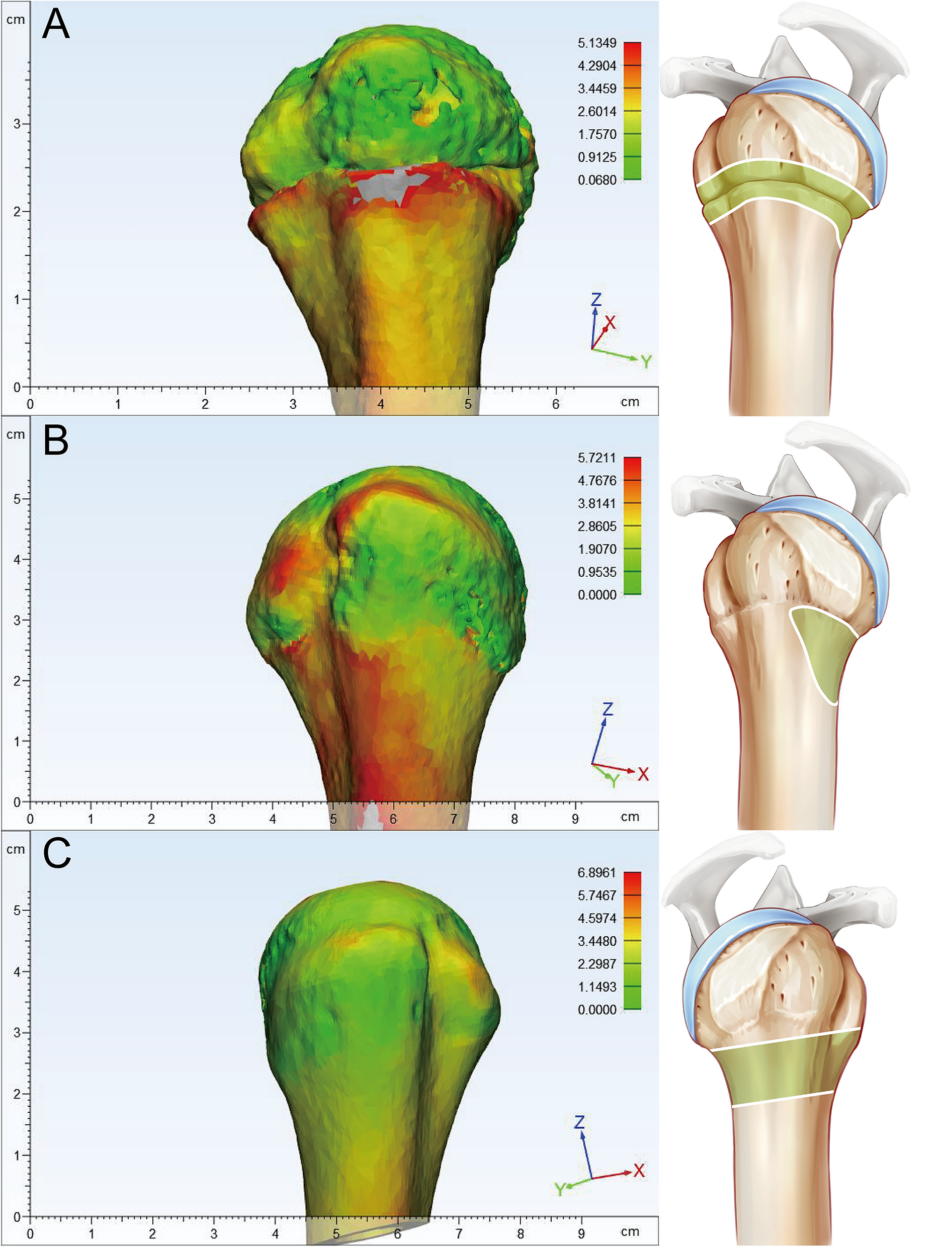 Fig. 6