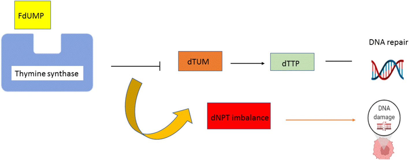 Fig. 9: