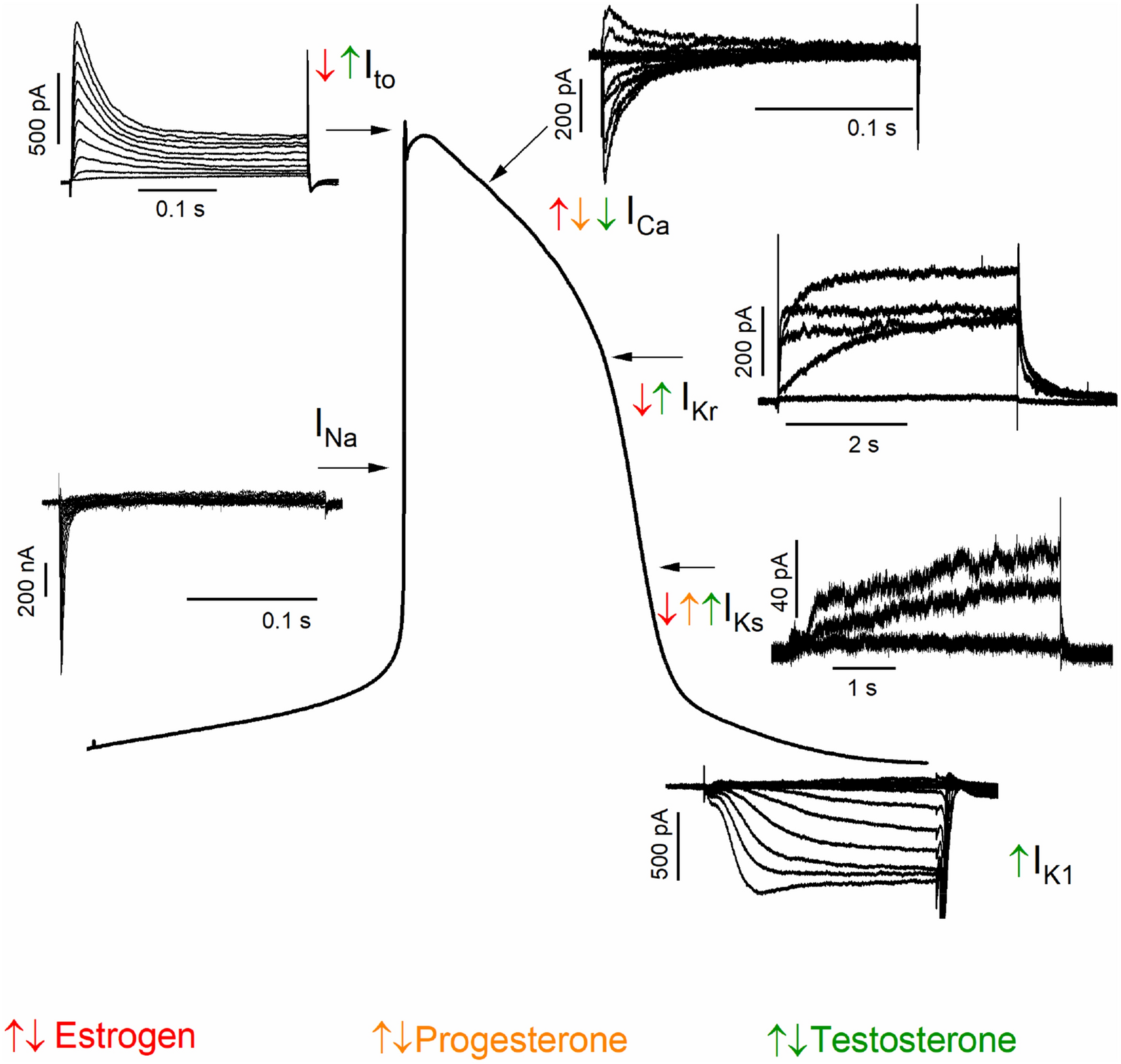 Fig. 2