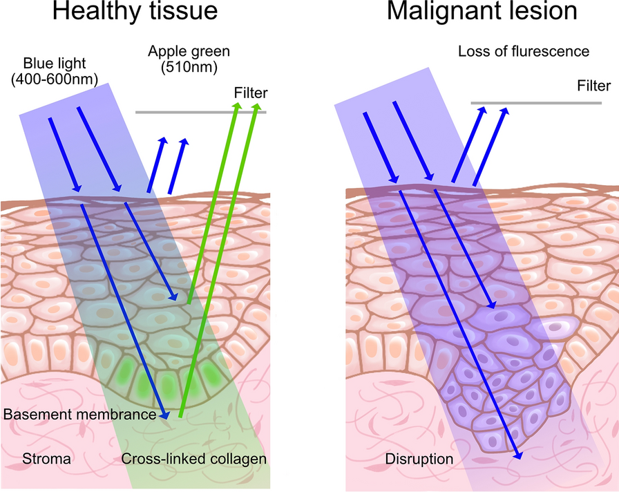 Fig. 4