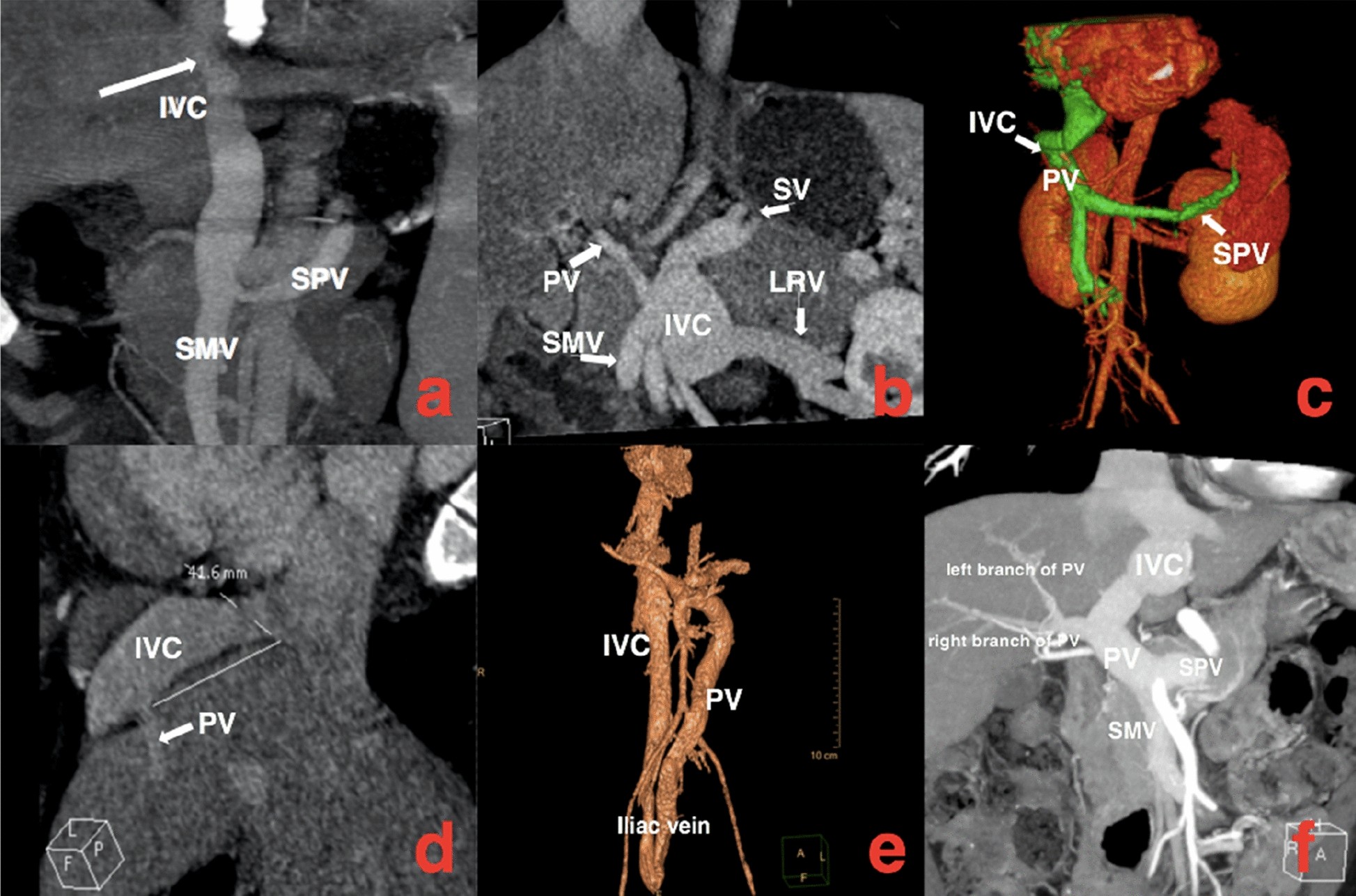 Fig.1