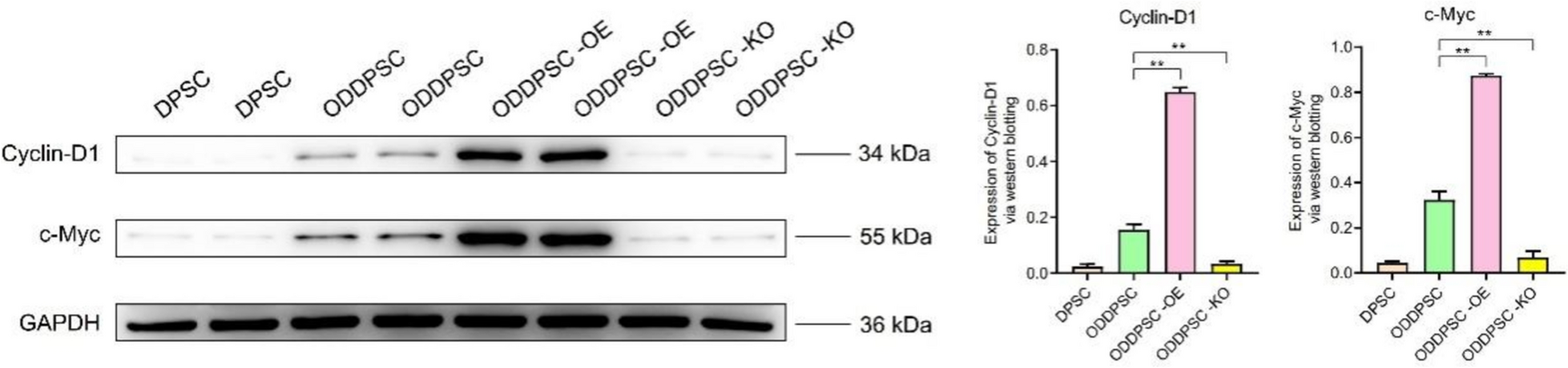 Fig. 10