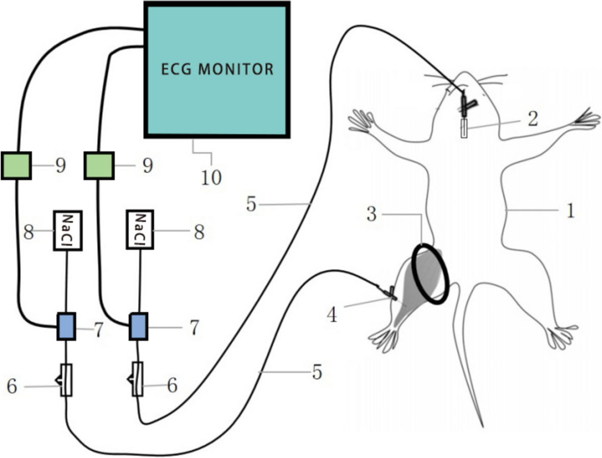 Fig. 2