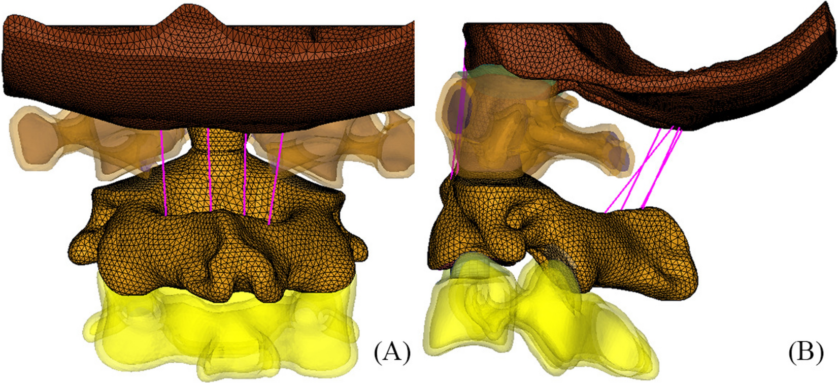 Fig. 1