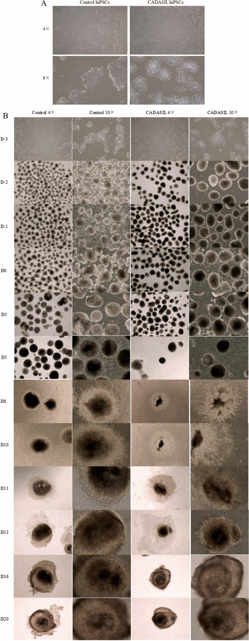 Fig. 3