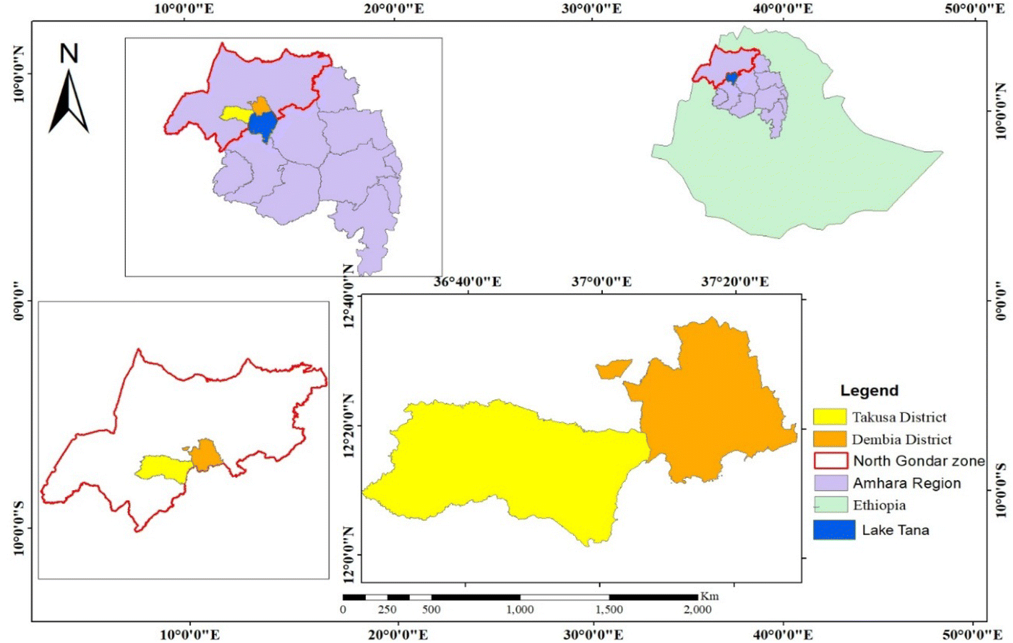 Fig. 1