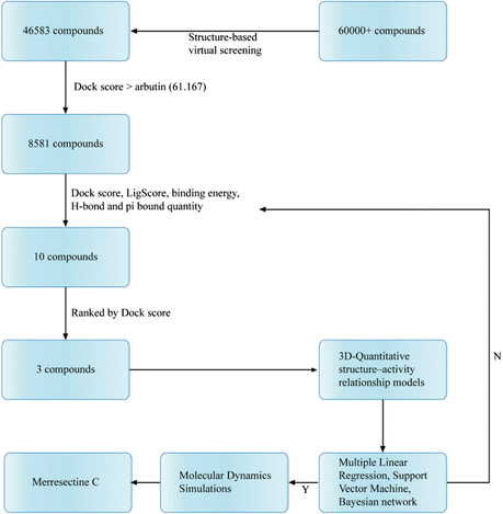 Figure 19