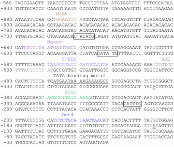 Figure 4