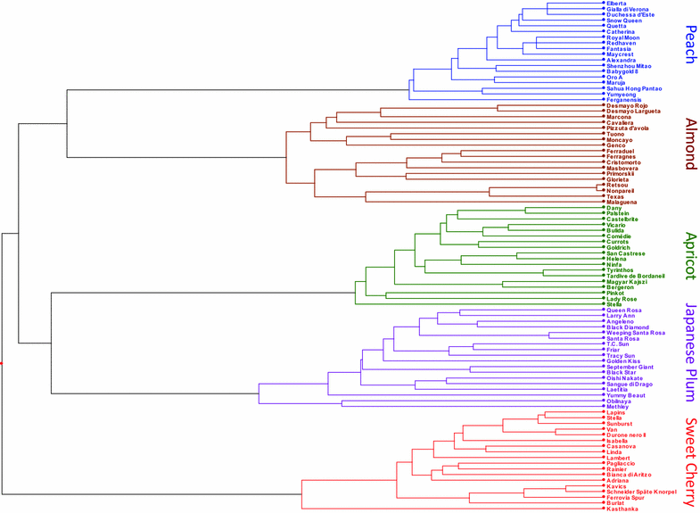 Figure 1