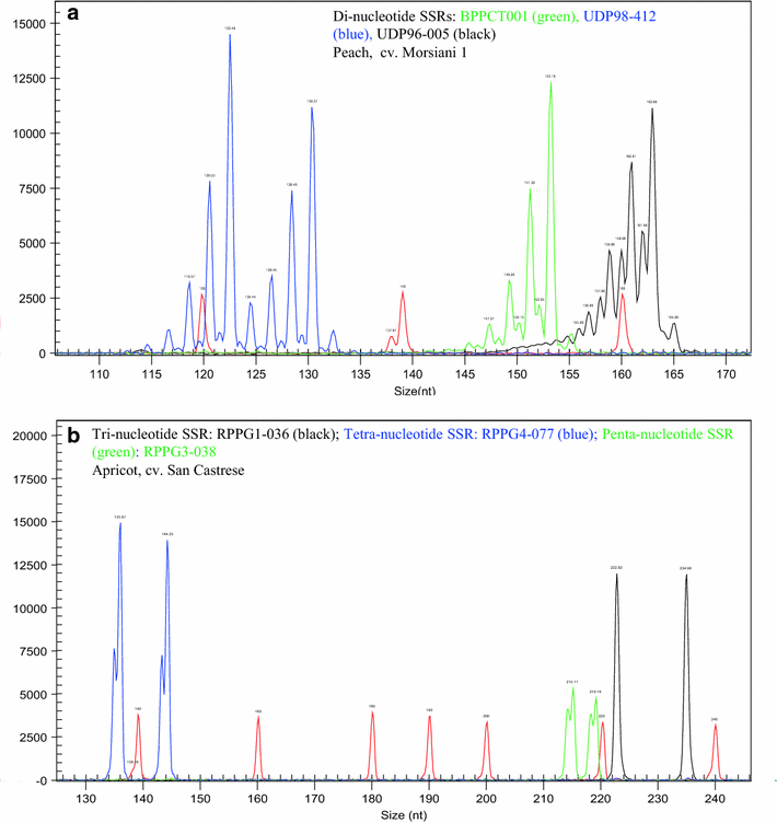 Figure 3