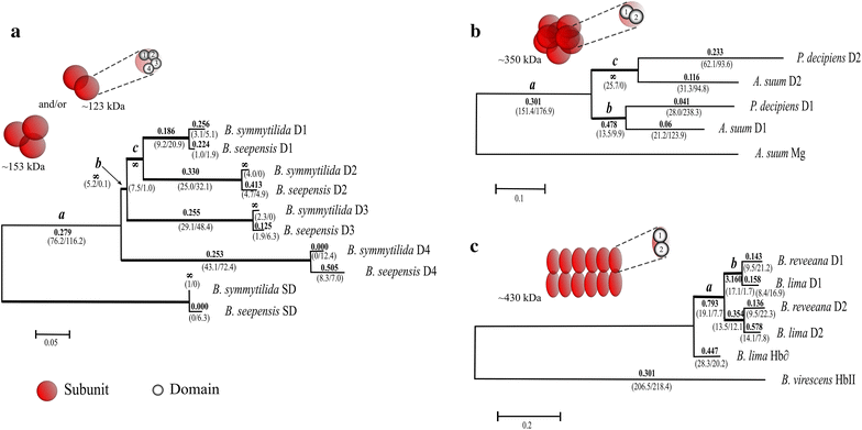 Fig. 1