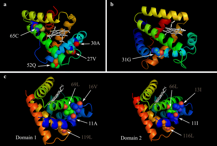 Fig. 2