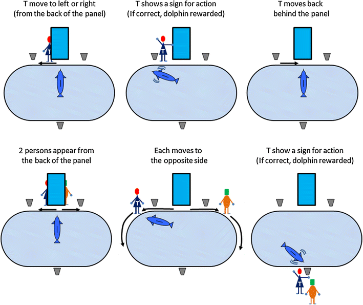 Figure 5