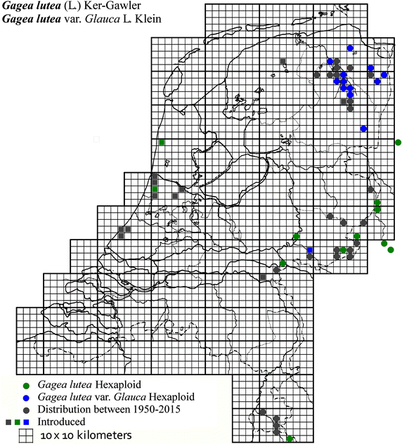 Fig. 4