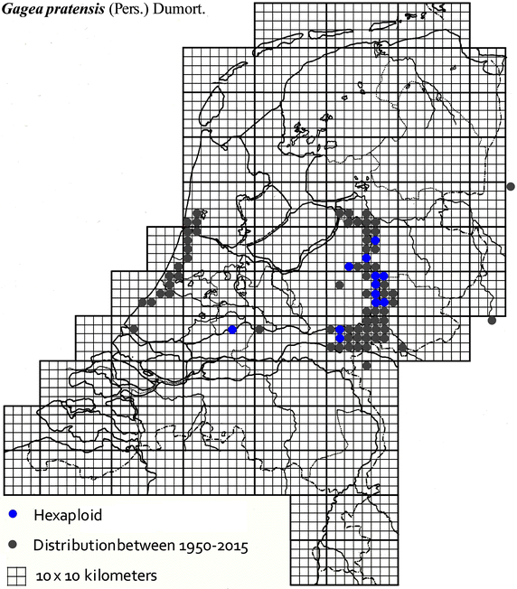 Fig. 7