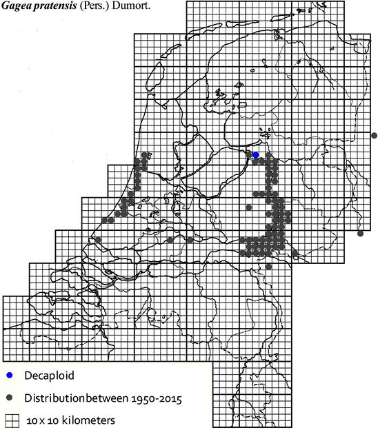 Fig. 8