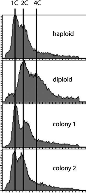 Fig. 3