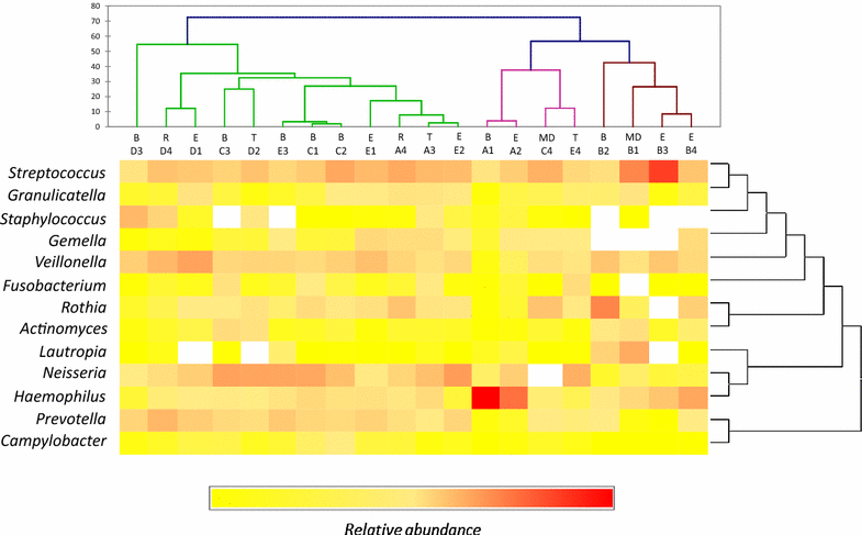 Fig. 3