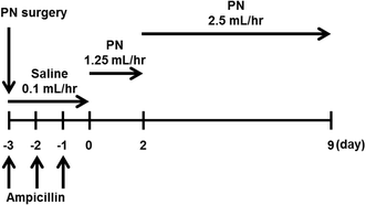 Scheme 1