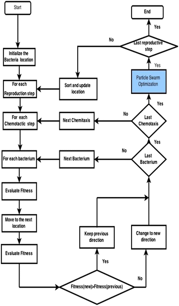 Fig. 10