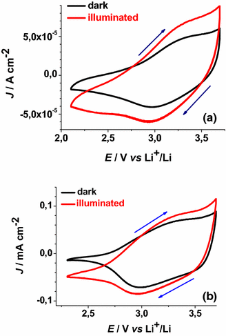 Fig. 10