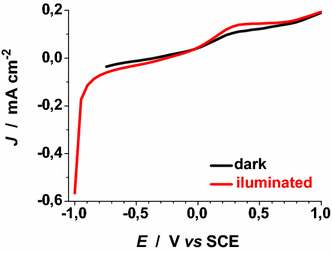 Fig. 22