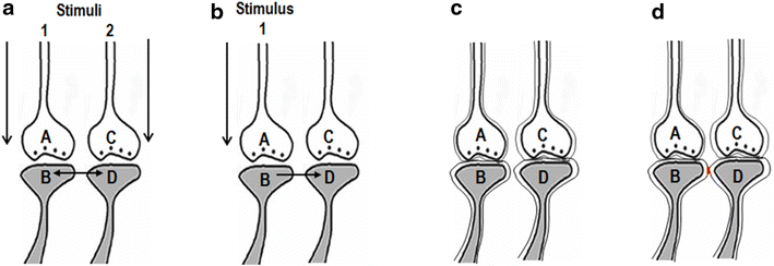 Fig. 1