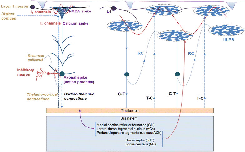 Fig. 3